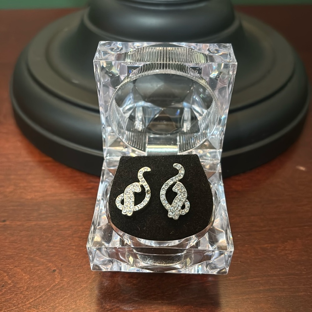 NWOT Unbranded Cat Earrings